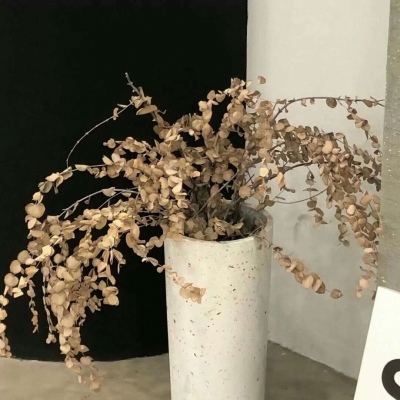 Furry兽设设计灵感合集兽圈社群